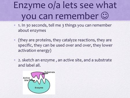 Enzyme o/a lets see what you can remember 