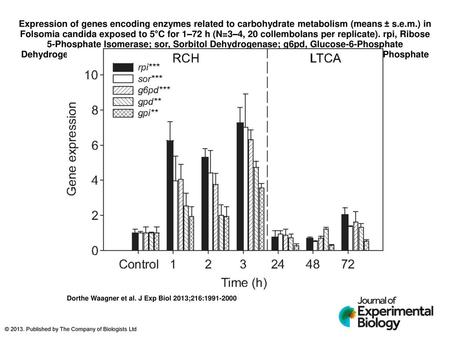 Expression of genes encoding enzymes related to carbohydrate metabolism (means ± s.e.m.) in Folsomia candida exposed to 5°C for 1–72 h (N=3–4, 20 collembolans.
