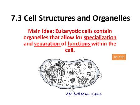 7.3 Cell Structures and Organelles