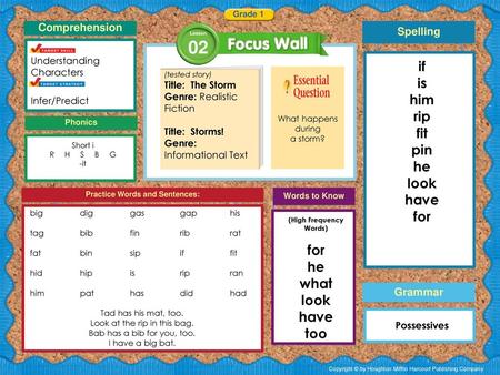 Practice Words and Sentences: (High Frequency Words)