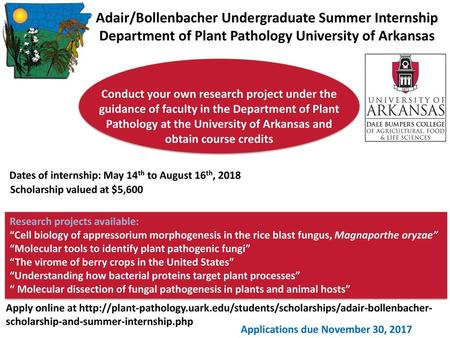 Adair/Bollenbacher Undergraduate Summer Internship