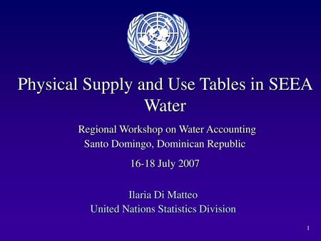 Ilaria Di Matteo United Nations Statistics Division