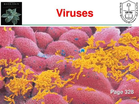 Viruses Page 328.