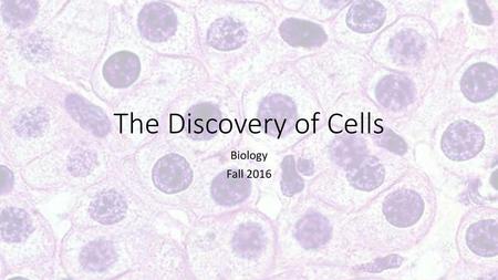 The Discovery of Cells Biology Fall 2016.