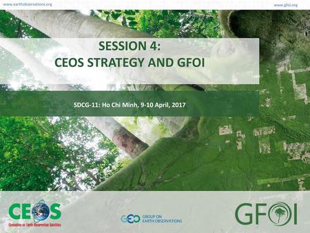 SESSION 4: CEOS STRATEGY AND GFOI