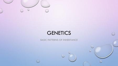 Basic Patterns of Inheritance