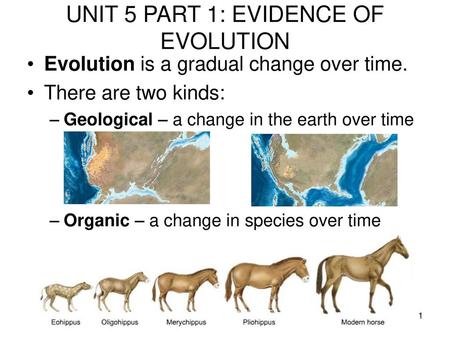 UNIT 5 PART 1: EVIDENCE OF EVOLUTION