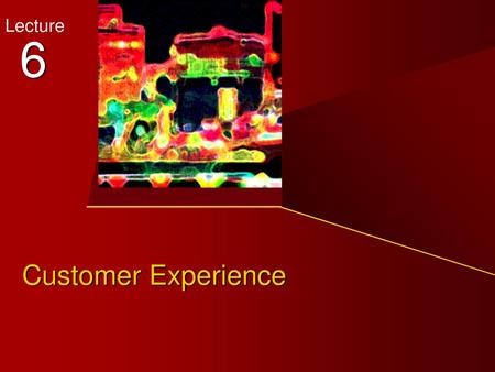 Lecture 6 Customer Experience.