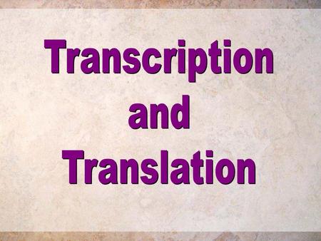 Transcription and Translation.