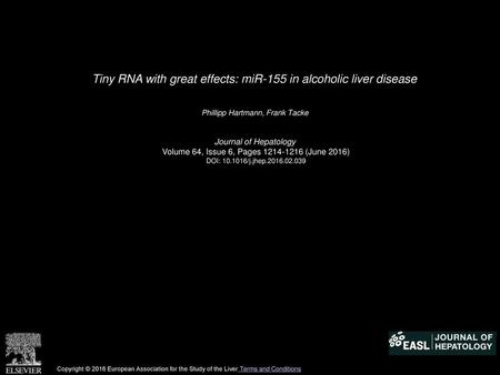 Tiny RNA with great effects: miR-155 in alcoholic liver disease