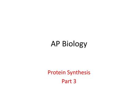 Protein Synthesis Part 3