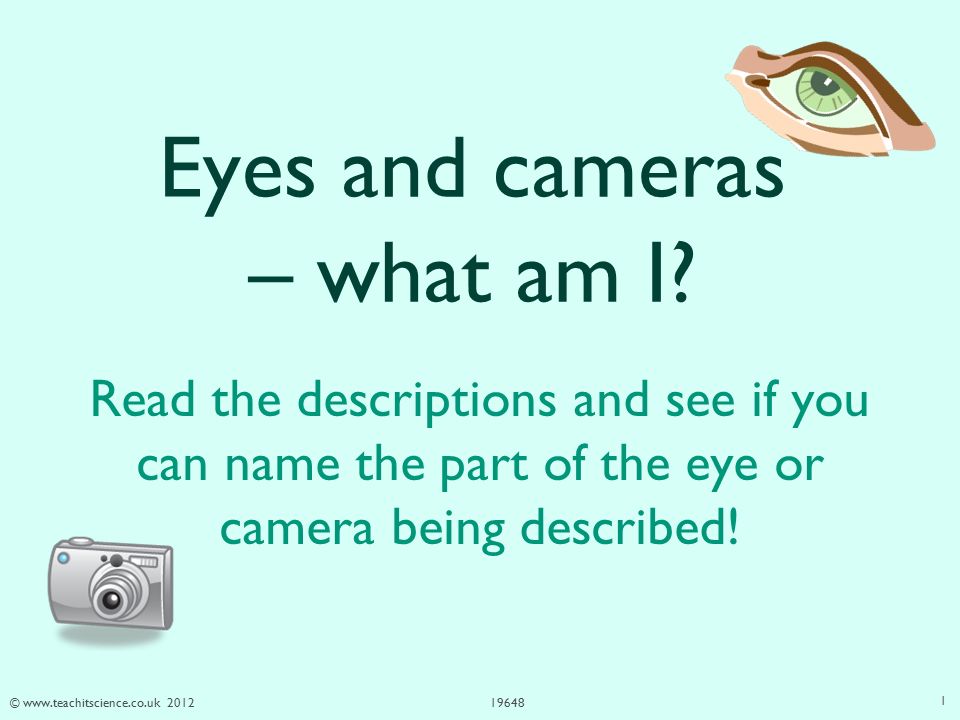 Eyes and cameras – what am I? Read the descriptions and see if you can name  the part of the eye or camera being described! - ppt download