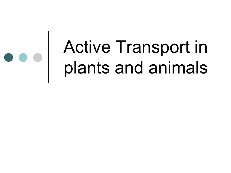 Active Transport in plants and animals - ppt video online download