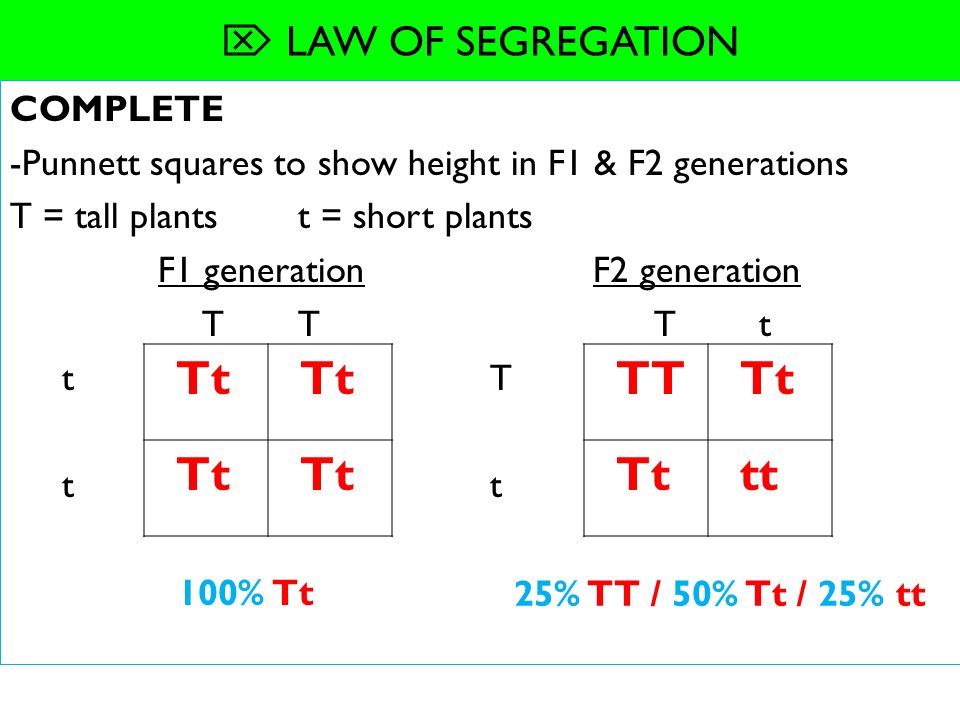 Tt+TT+Tt+tt+%EF%83%96+LAW+OF+SEGREGATION+COMPLETE.jpg