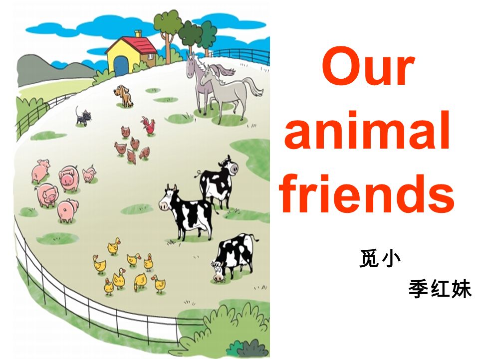 Our animal friends 觅小 季红妹 Name ： Tracy Like ： animals and animals toys Have  ： an elephant, a giraffe and a bear Pet ： some goldfish. - ppt download