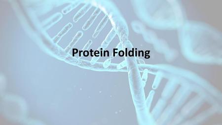 Protein Folding.