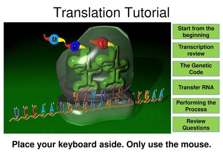 Translation Tutorial Place your keyboard aside. Only use the mouse.