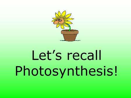 Let’s recall Photosynthesis!