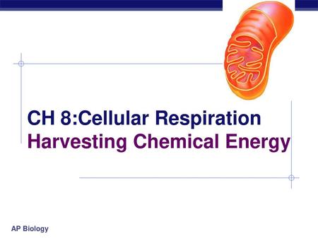 CH 8:Cellular Respiration Harvesting Chemical Energy