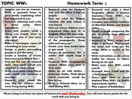 TOPIC: WW2 Homework Term: 2