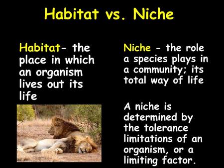Habitat vs. Niche Habitat- the place in which an organism lives out its life Niche - the role a species plays in a community; its total way of life A niche.