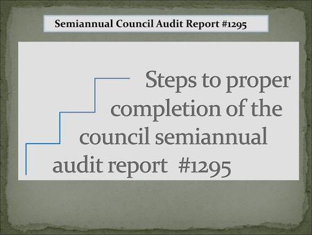 Semiannual Council  Audit Report #1295