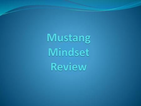 Mustang Mindset Review