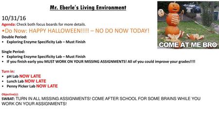 Mr. Eberle’s Living Environment