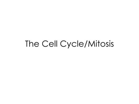 The Cell Cycle/Mitosis