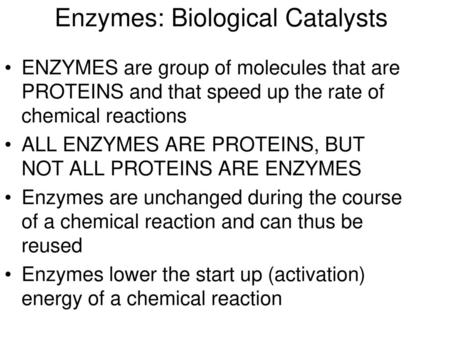 Enzymes: Biological Catalysts