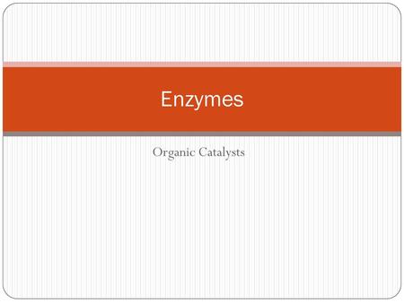 Enzymes Organic Catalysts.