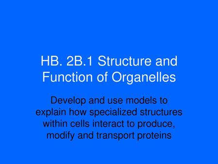 HB. 2B.1 Structure and Function of Organelles