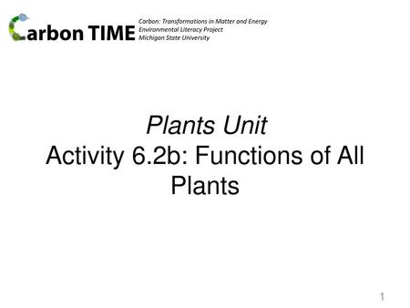 Plants Unit Activity 6.2b: Functions of All Plants