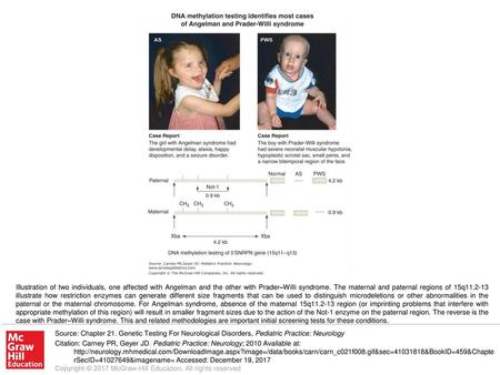 Illustration of two individuals, one affected with Angelman and the other with Prader–Willi syndrome. The maternal and paternal regions of 15q11.2-13 illustrate.