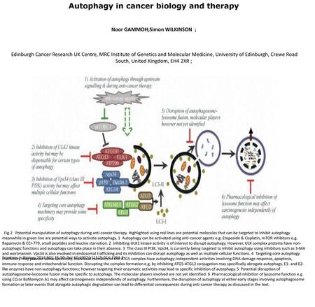 Autophagy in cancer biology and therapy Noor GAMMOH;Simon WILKINSON ;
