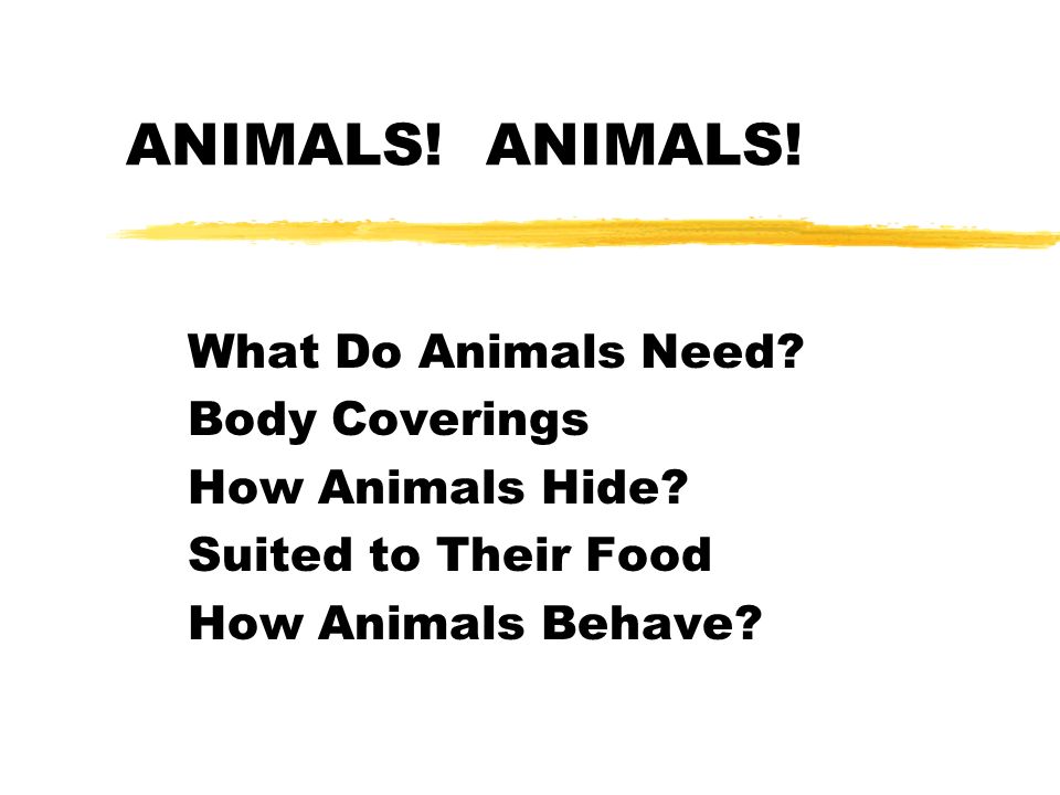 ANIMALS! ANIMALS! What Do Animals Need? Body Coverings - ppt video online  download