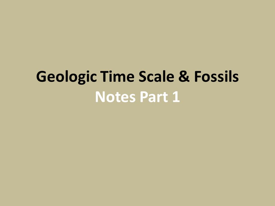 3 Types of Rock: Igneous, Sedimentary & Metamorphic