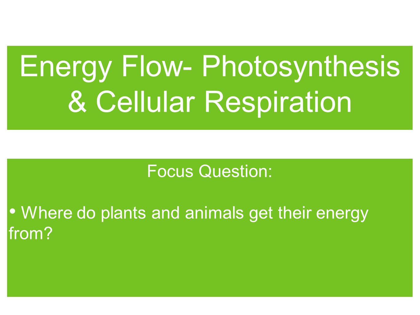 Energy Flow- Photosynthesis & Cellular Respiration - ppt video online  download