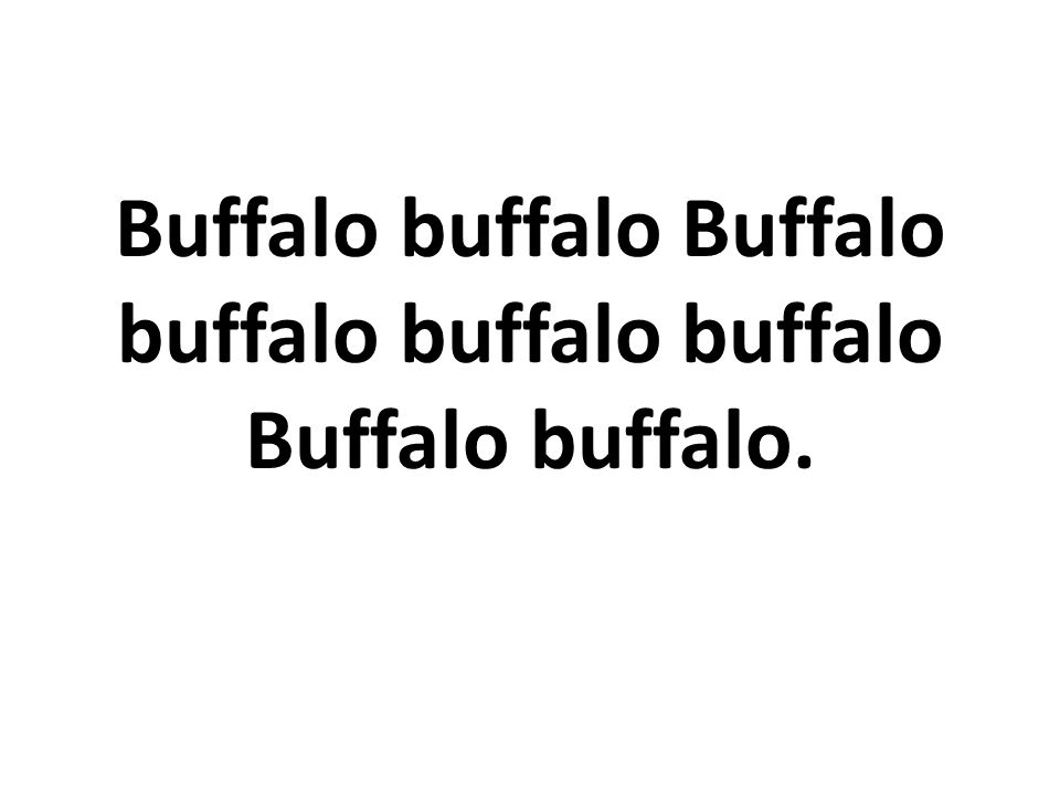 Buffalo buffalo buffalo buffalo buffalo Buffalo buffalo. ppt video download