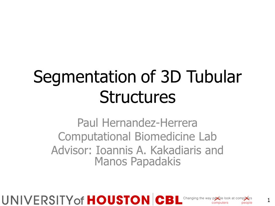 Segmentation of 3D Tubular Structures Paul Hernandez-Herrera Computational  Biomedicine Lab Advisor: Ioannis A. Kakadiaris and Manos Papadakis ppt  download