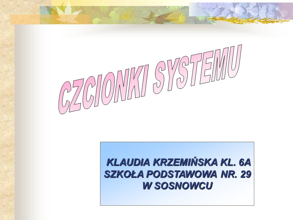 Klaudia Krzeminska Kl 6a Ppt Download
