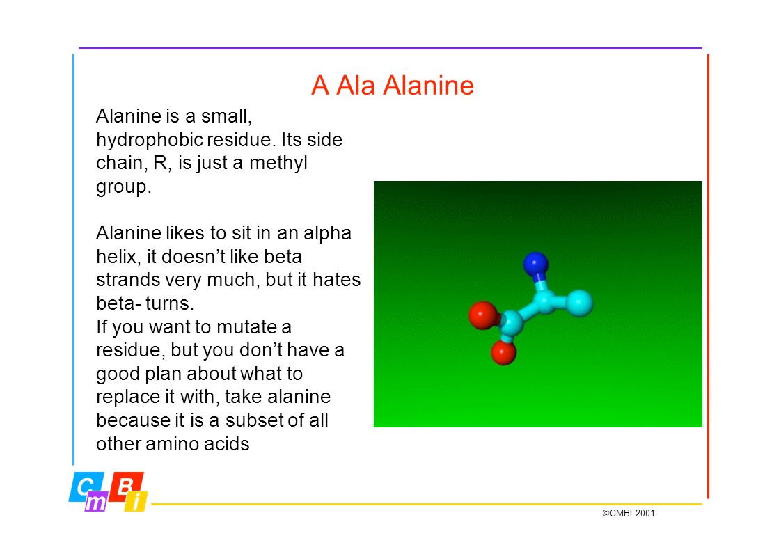 do alpha helices have a lot of hydrophobic amino acids