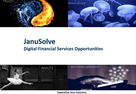 JanuSolve Digital Financial Services Opportunities.