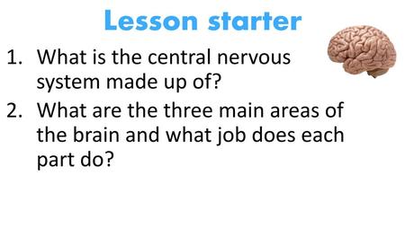Lesson starter What is the central nervous system made up of?