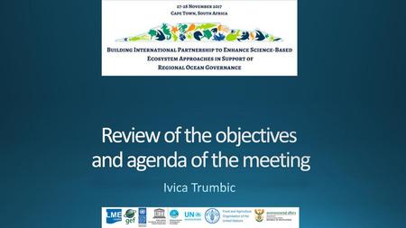 Review of the objectives and agenda of the meeting