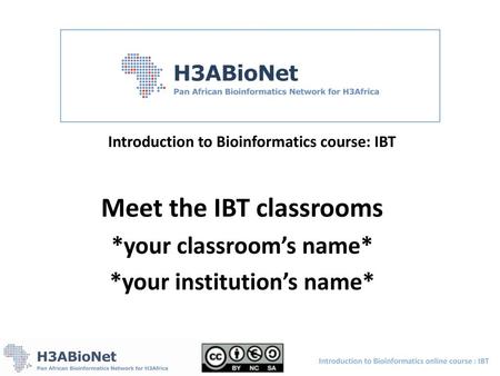 Meet the IBT classrooms
