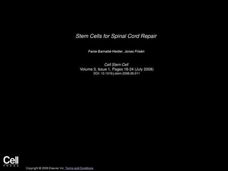 Stem Cells for Spinal Cord Repair