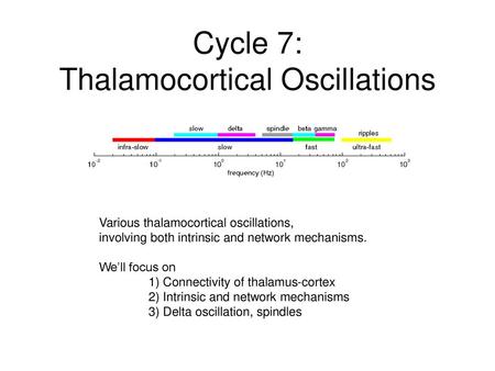 Cycle 7: Thalamocortical Oscillations
