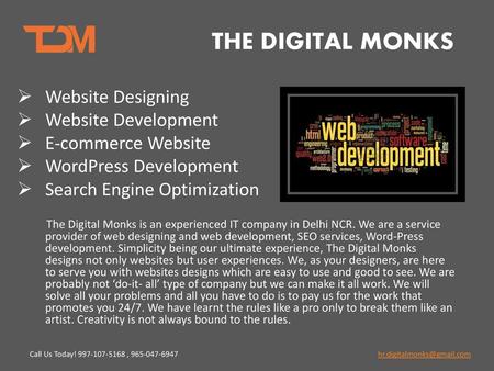 THE DIGITAL MONKS Website Designing Website Development