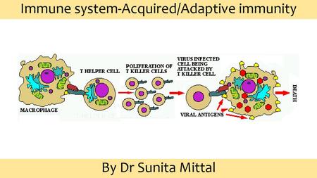 Immune system-Acquired/Adaptive immunity
